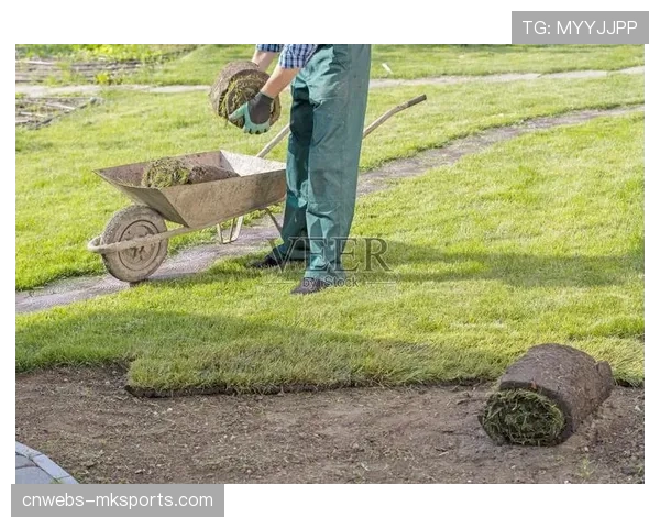 “球场园丁”的坚守:专访一位从业四十年的草皮管理员 “球场园丁”的坚守:专访一位从业四十年的草皮管理员